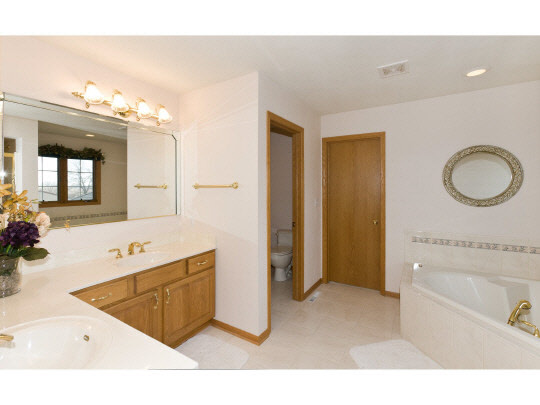14377 Murphy Road Winnebago, IL 61088 - Photo 8 of 11 a bathroom with a tub a sink and a mirror