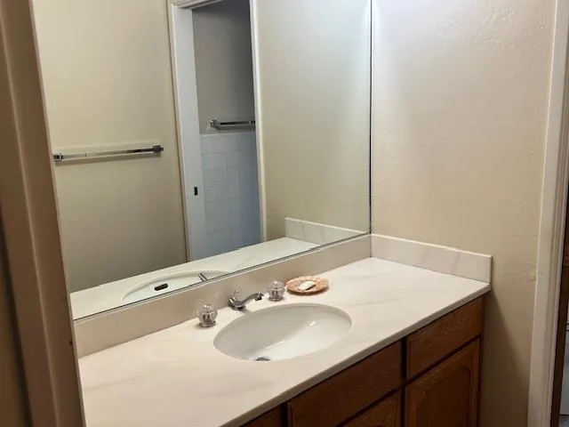 a bathroom with a sink and a mirror