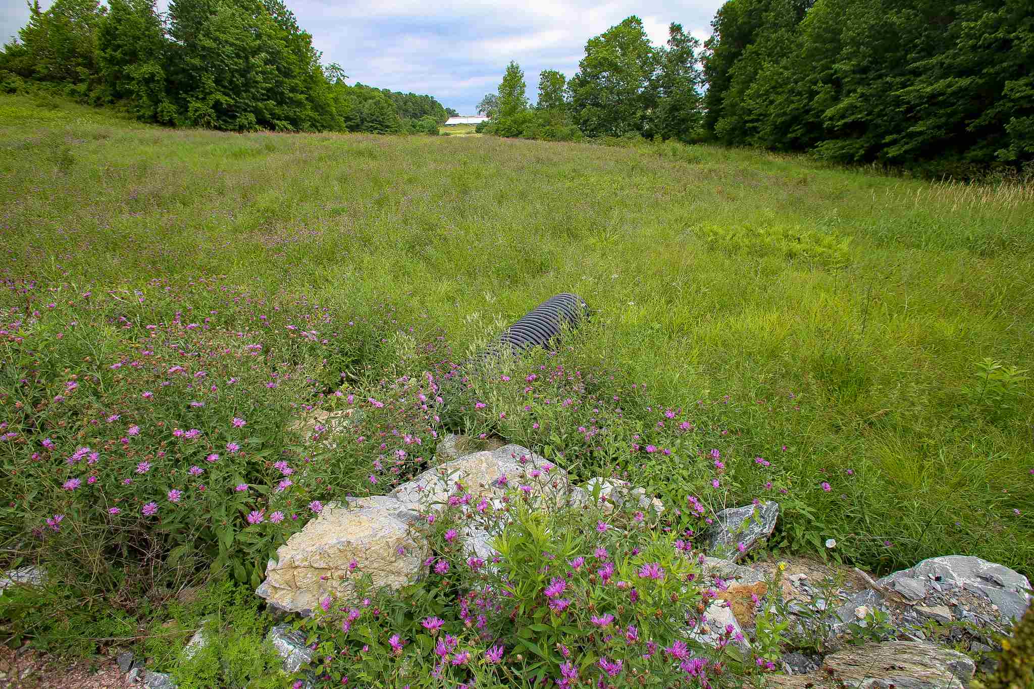 102 Pond Road, Unit 2 Shelburne, VT 05482 - Photo 18 of 36 Gallery Image 18