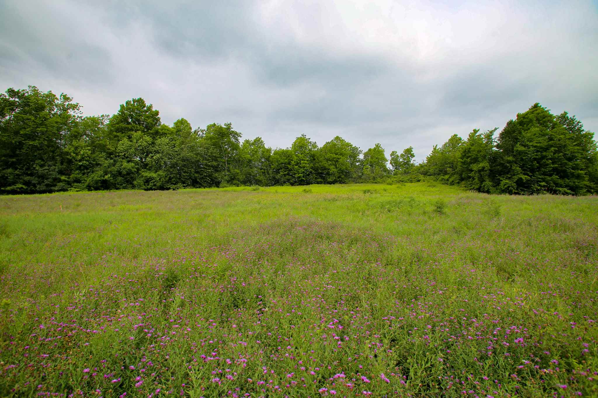 102 Pond Road, Unit 2 Shelburne, VT 05482 - Photo 20 of 36 Gallery Image 20