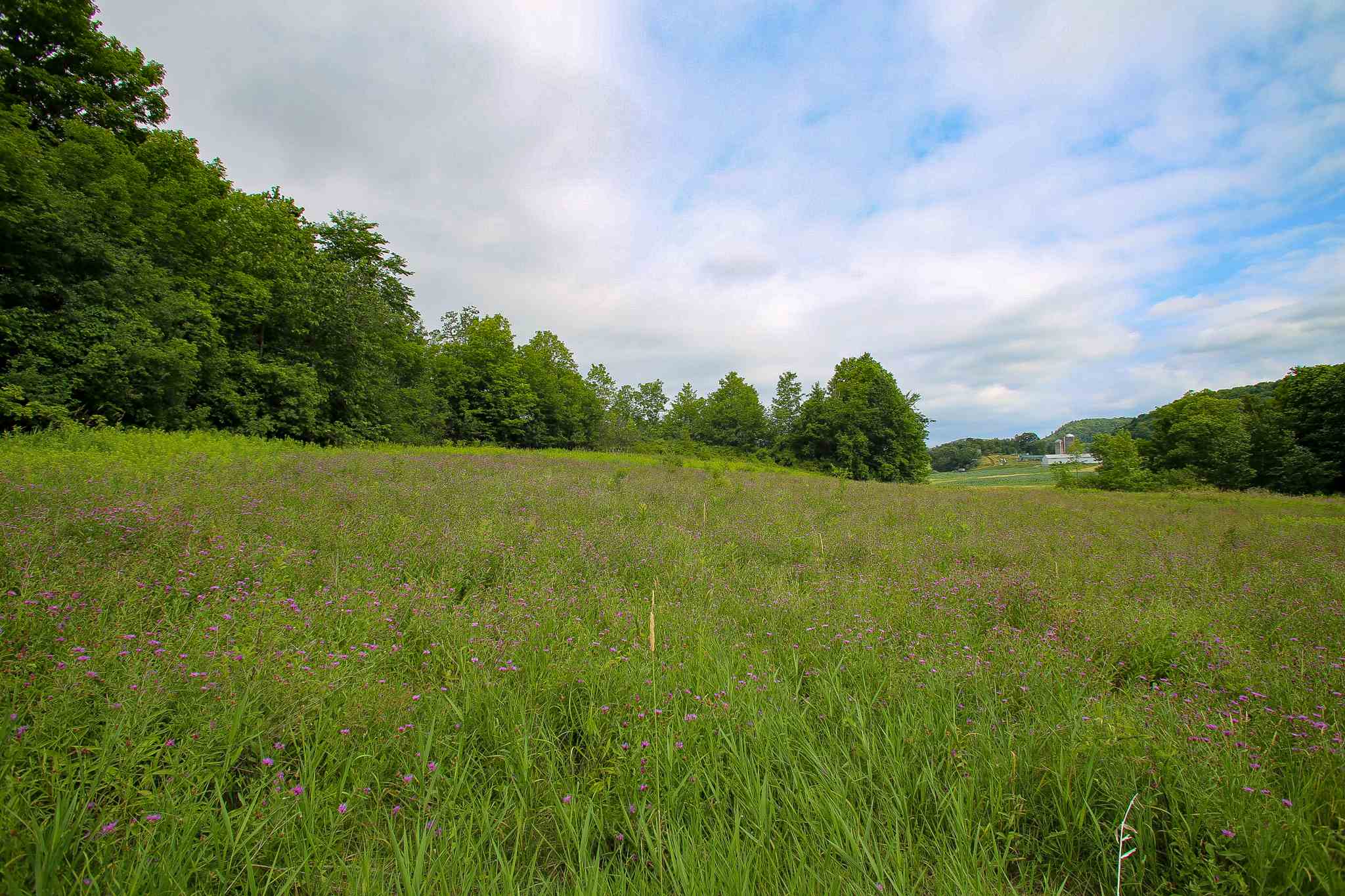 102 Pond Road, Unit 2 Shelburne, VT 05482 - Photo 3 of 36 Gallery Image 3
