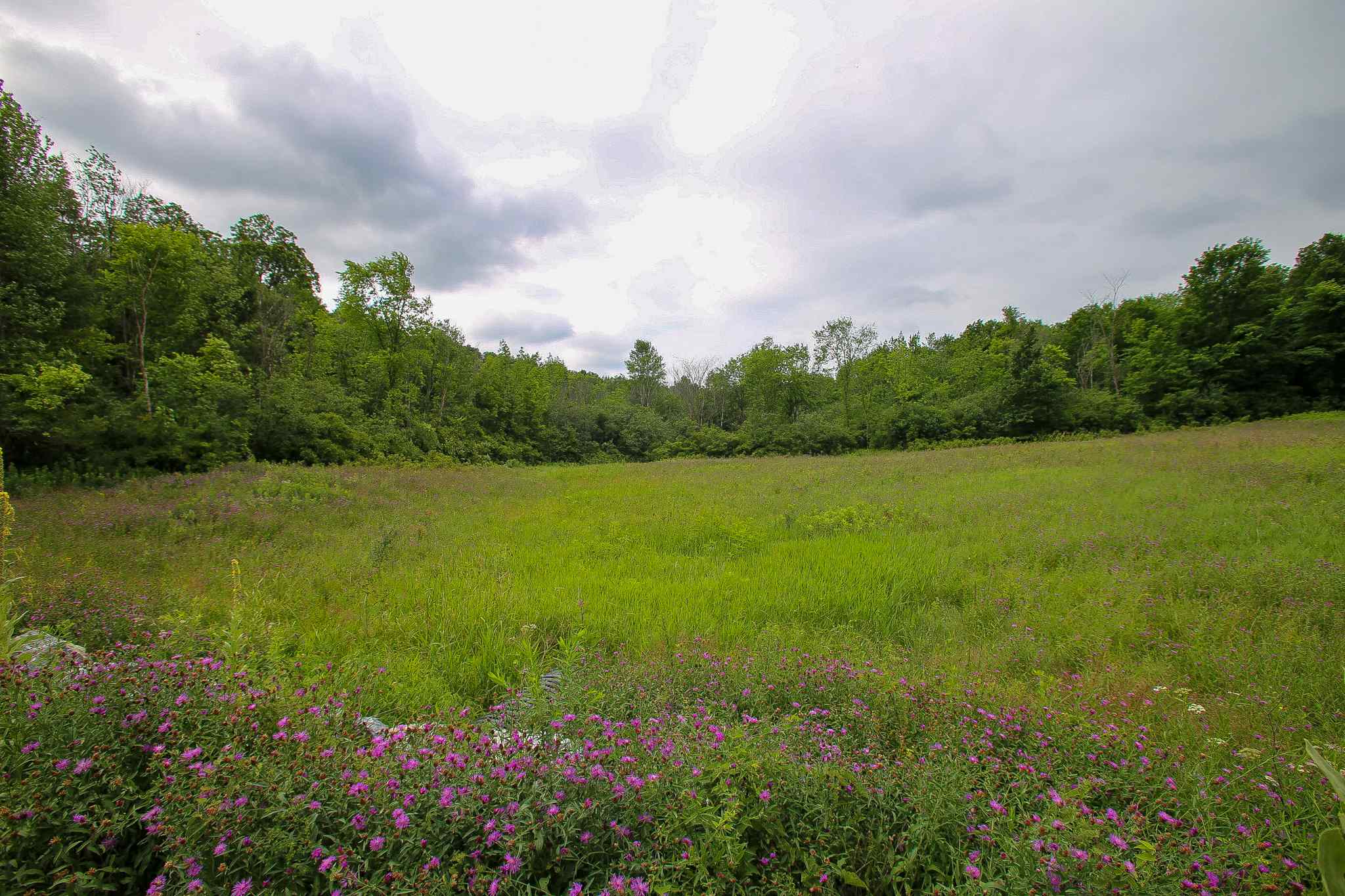 102 Pond Road, Unit 2 Shelburne, VT 05482 - Photo 21 of 36 Gallery Image 21