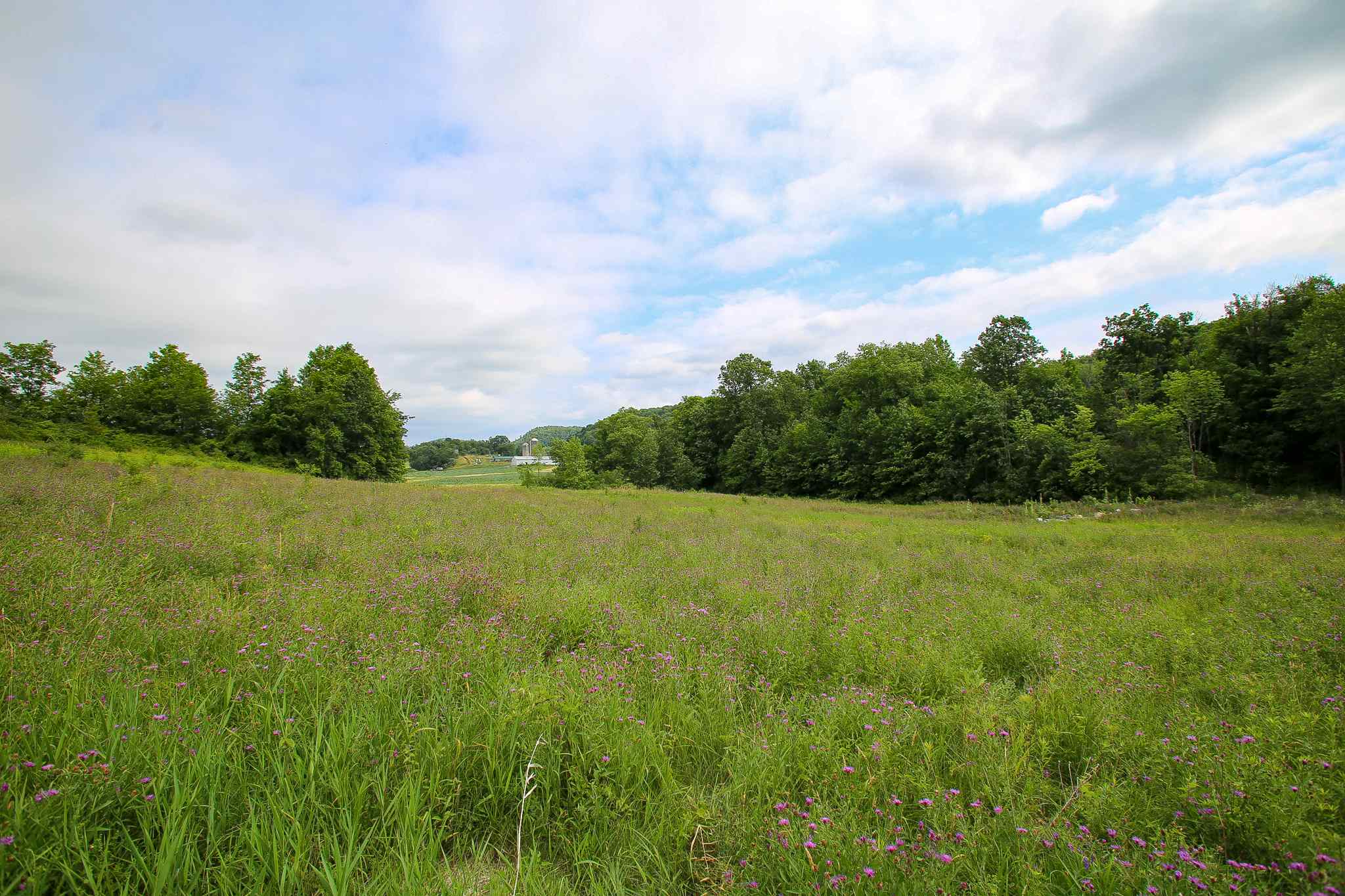 102 Pond Road, Unit 2 Shelburne, VT 05482 - Photo 22 of 36 Gallery Image 22