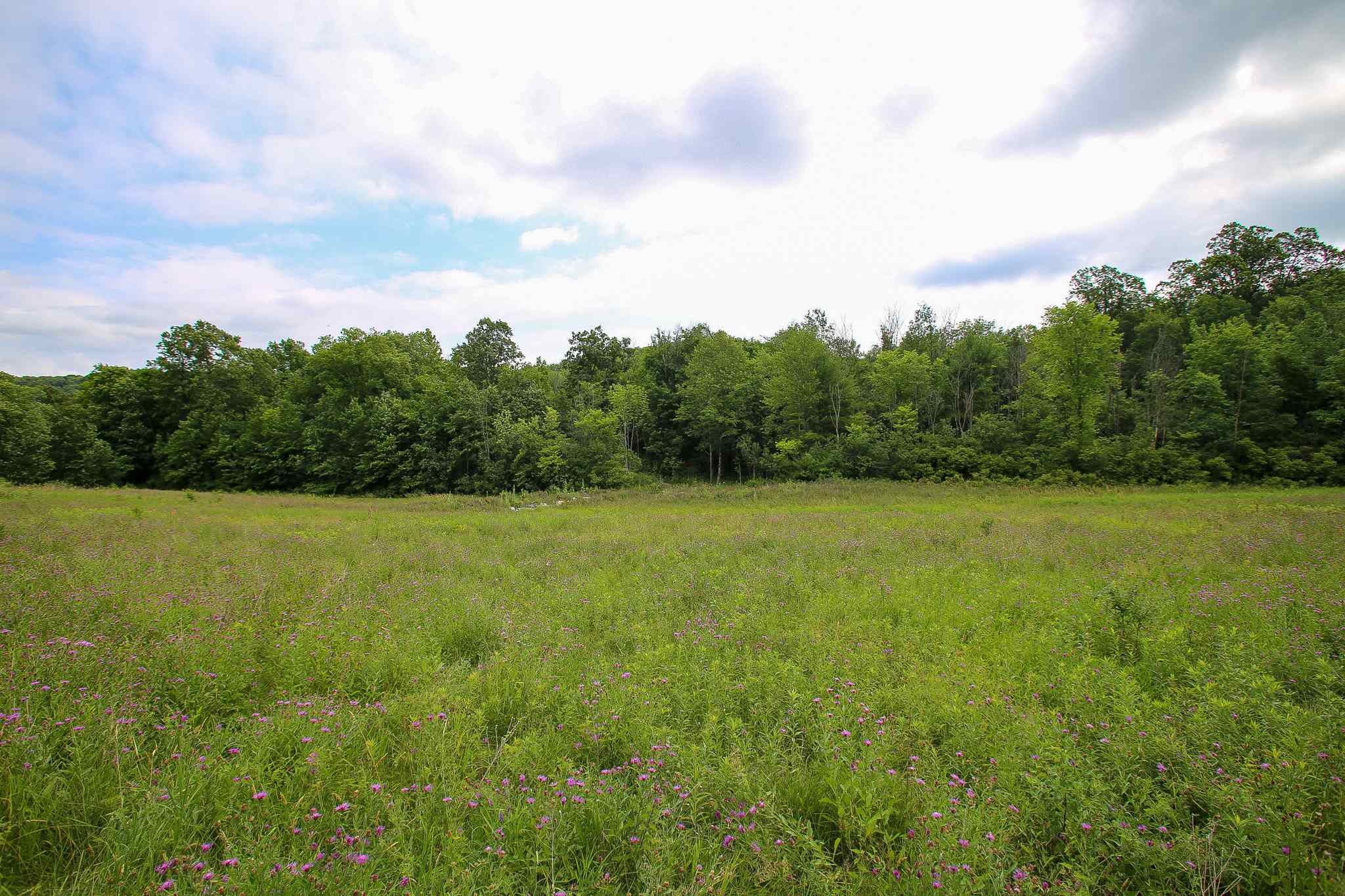 102 Pond Road, Unit 2 Shelburne, VT 05482 - Photo 23 of 36 Gallery Image 23