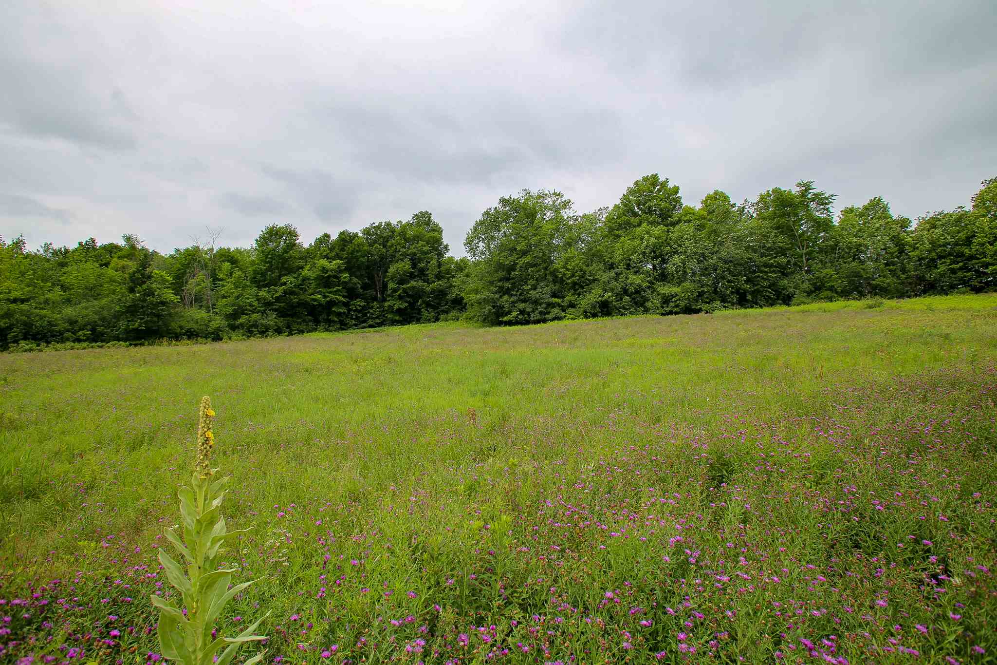 102 Pond Road, Unit 2 Shelburne, VT 05482 - Photo 24 of 36 Gallery Image 24