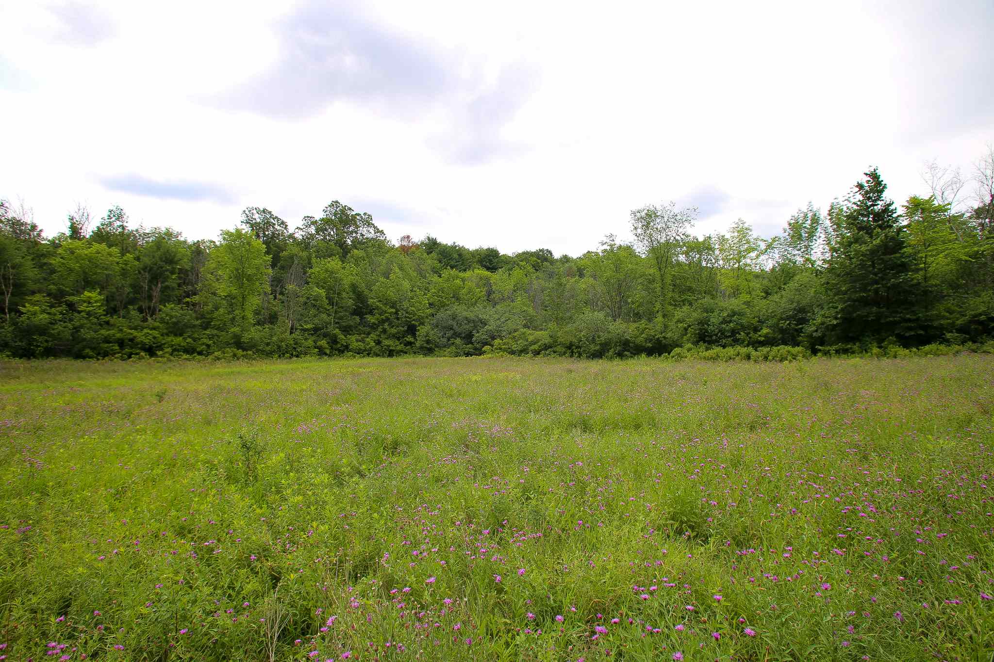 102 Pond Road, Unit 2 Shelburne, VT 05482 - Photo 25 of 36 Gallery Image 25
