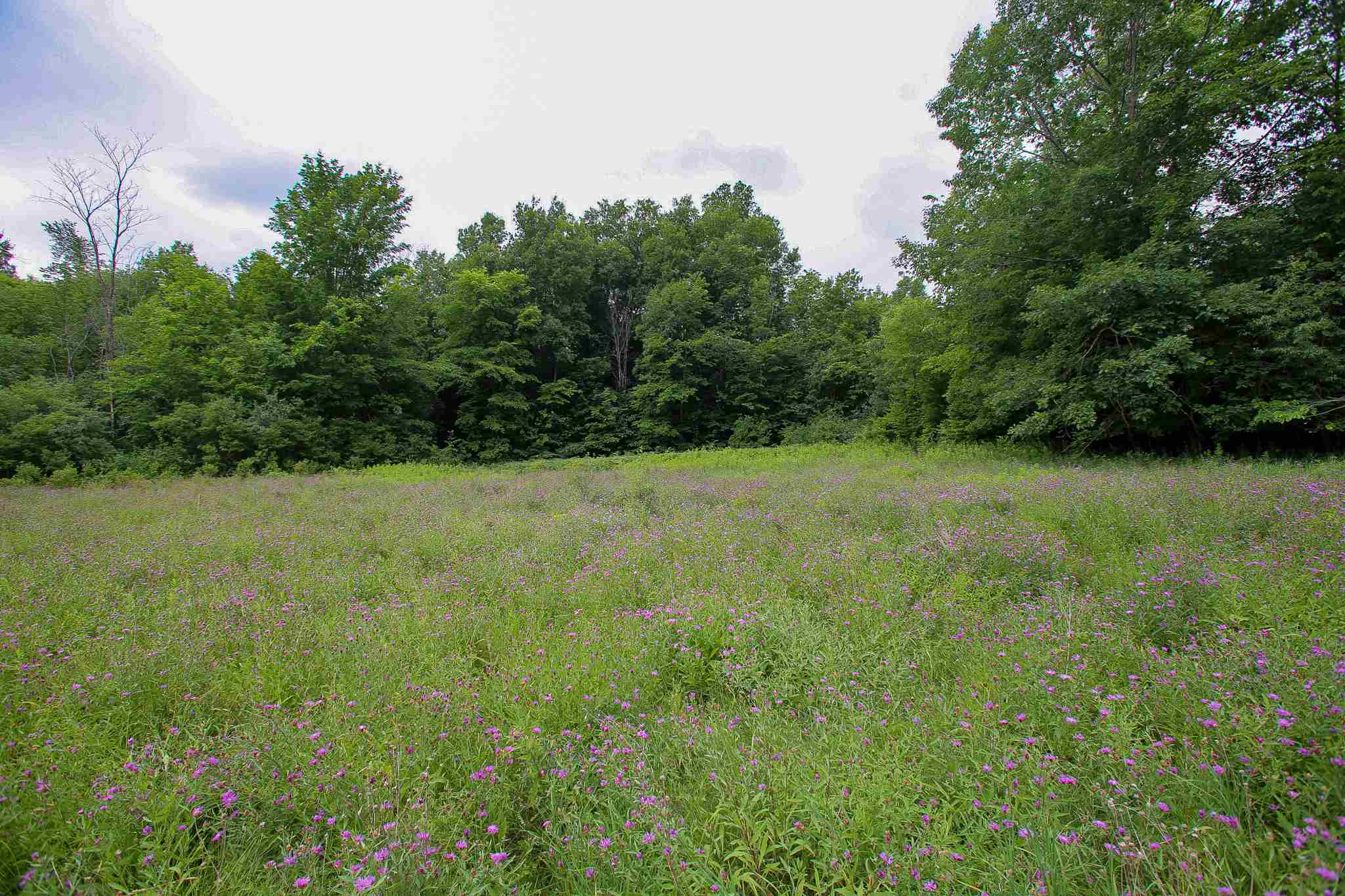 102 Pond Road, Unit 2 Shelburne, VT 05482 - Photo 26 of 36 Gallery Image 26