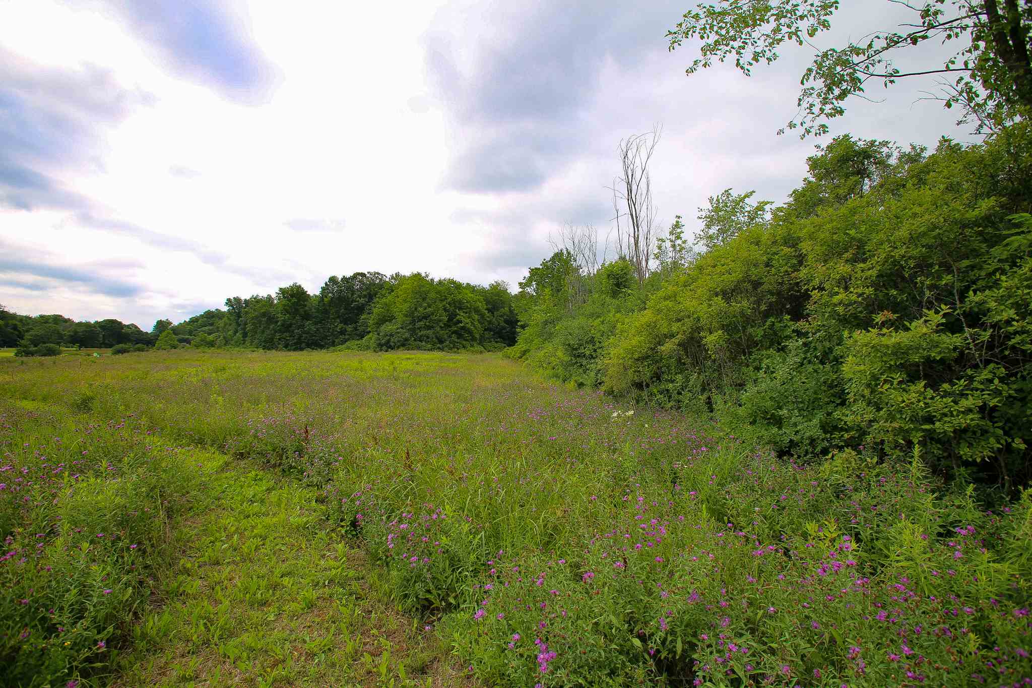 102 Pond Road, Unit 2 Shelburne, VT 05482 - Photo 27 of 36 Gallery Image 27