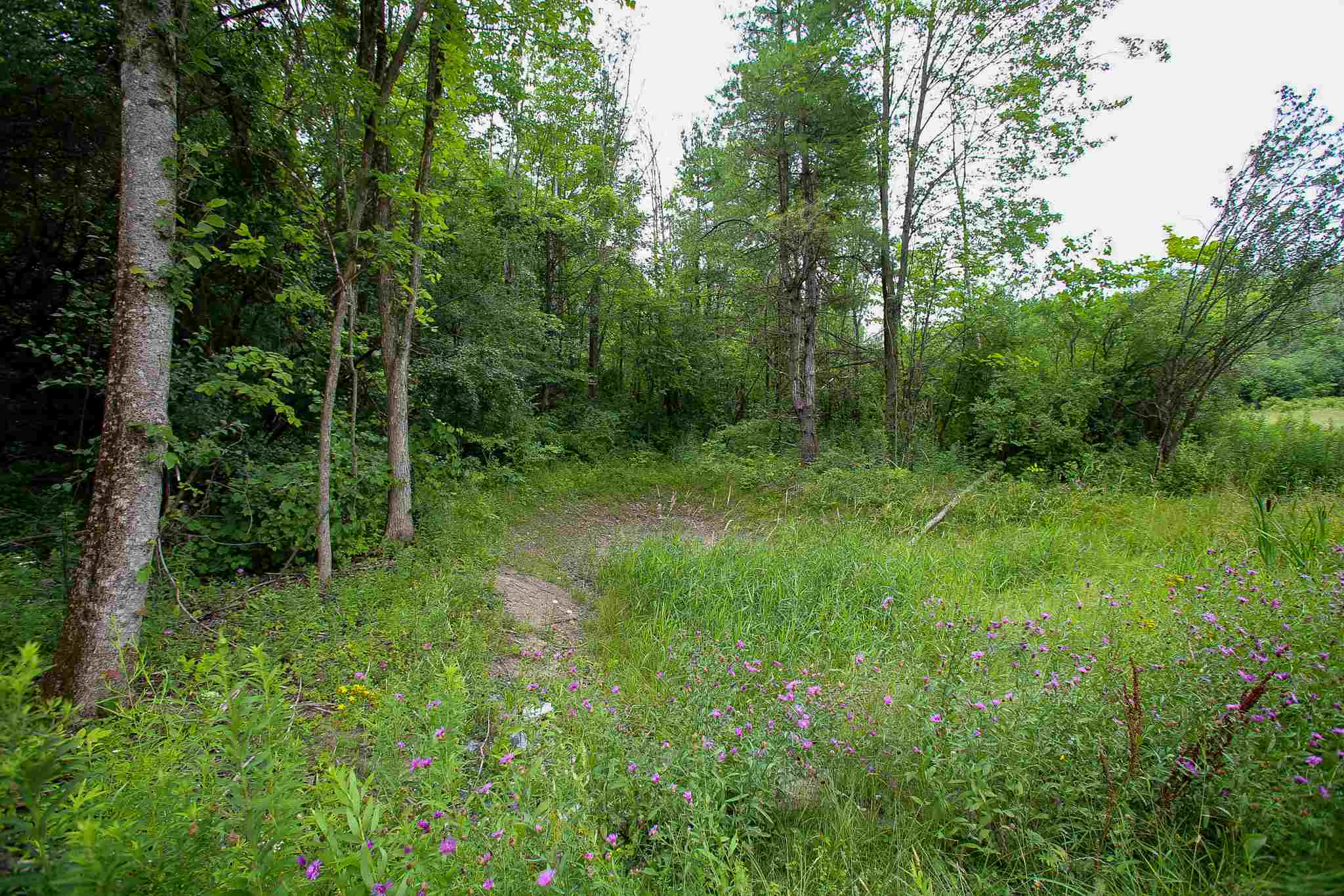 102 Pond Road, Unit 2 Shelburne, VT 05482 - Photo 28 of 36 Gallery Image 28