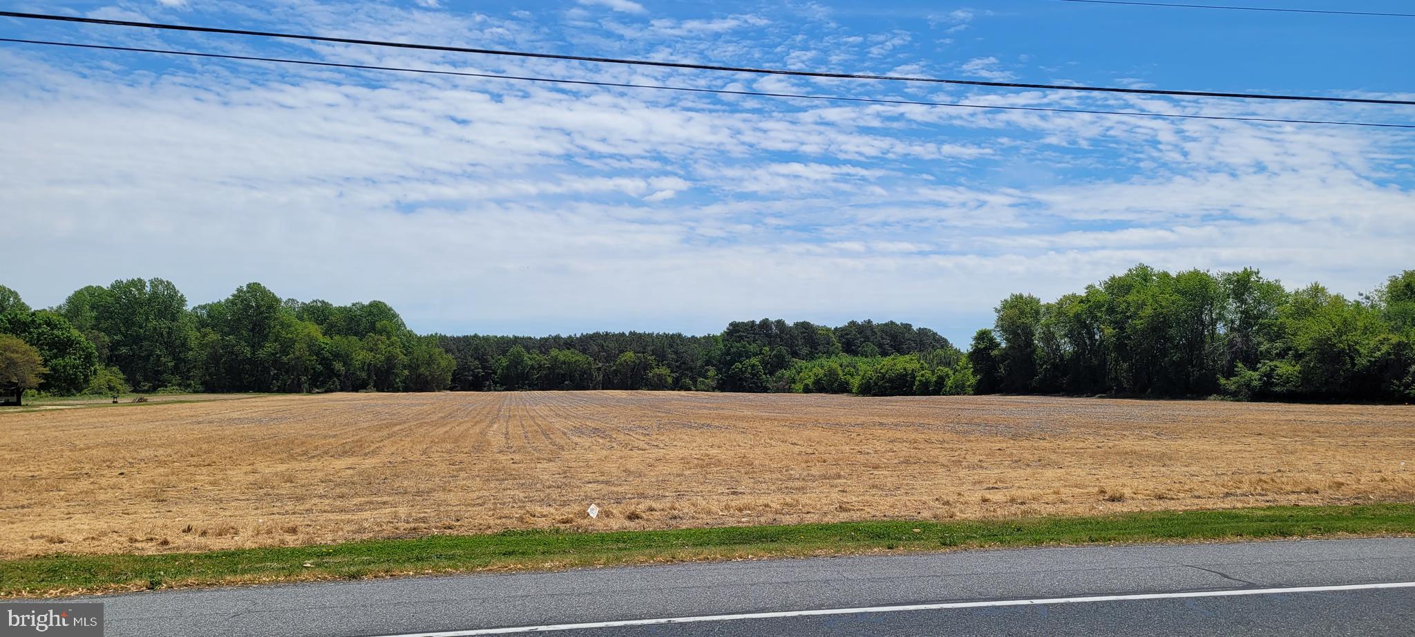 20-acres Shawnee Road Milford, DE 19963 - Photo 1 of 9 Gallery Image 1