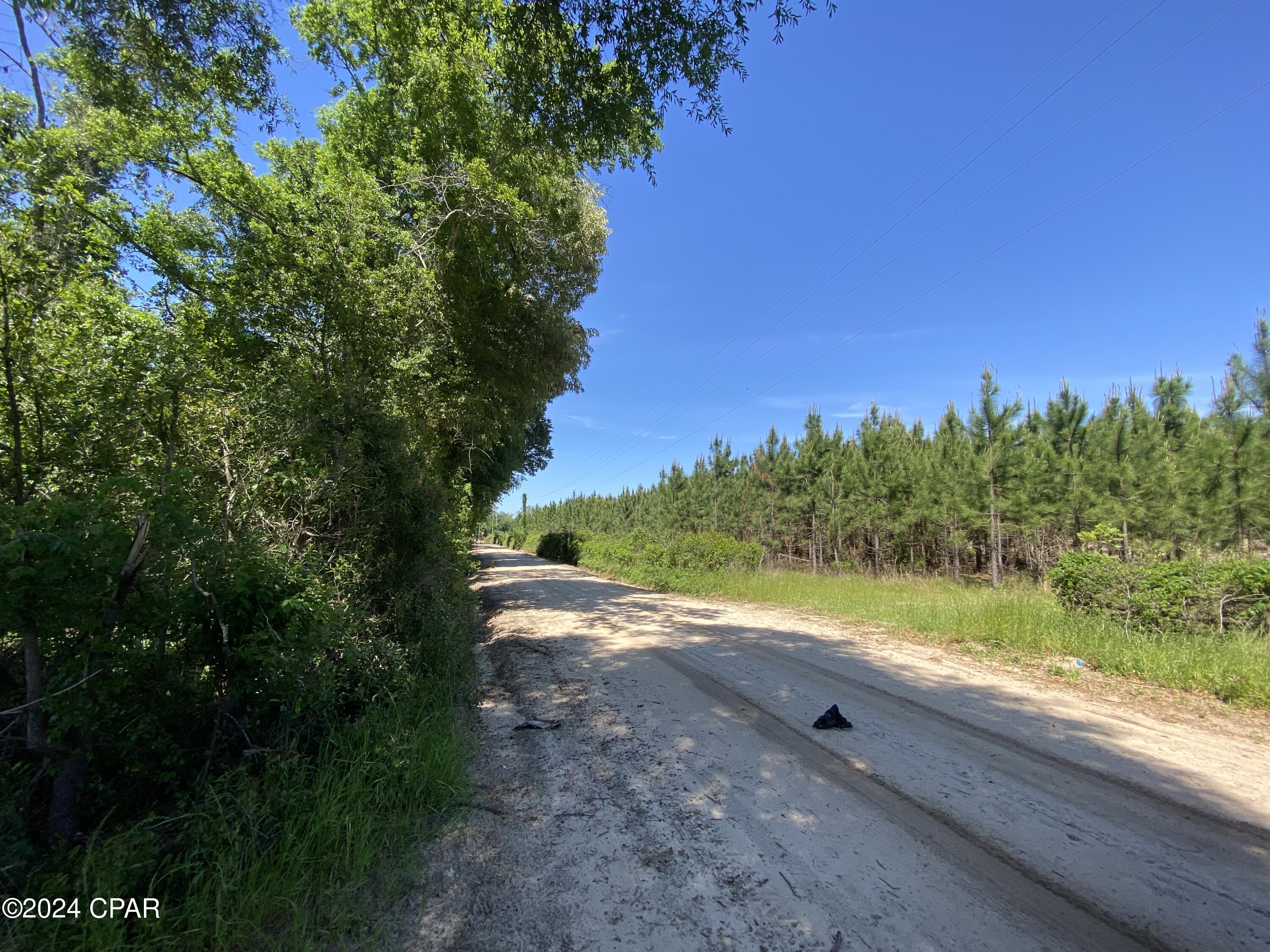 0 Bevis Road Malone, FL 32445 - Photo 3 of 7