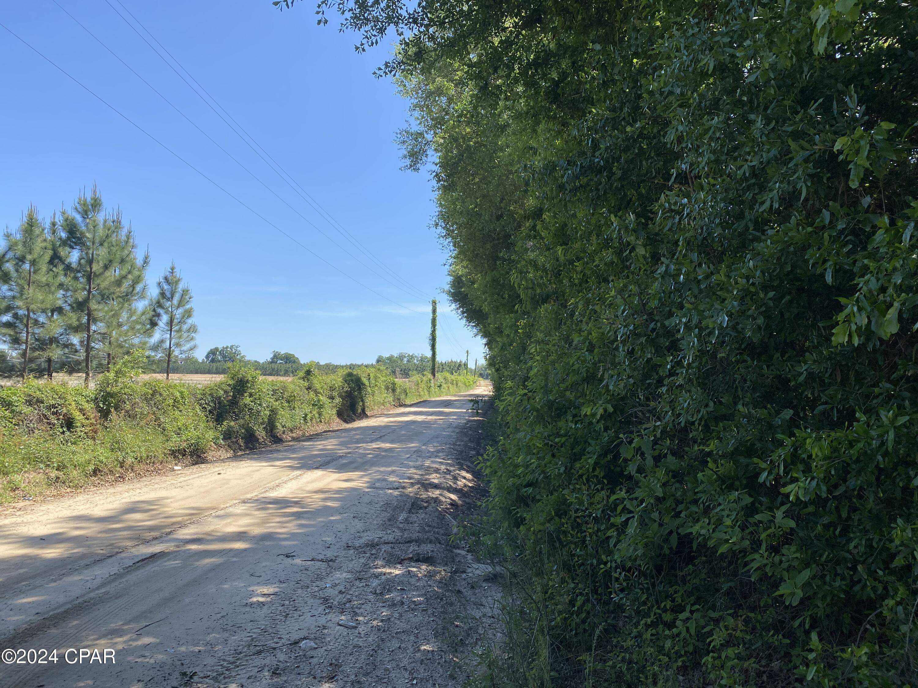 0 Bevis Road Malone, FL 32445 - Photo 5 of 7