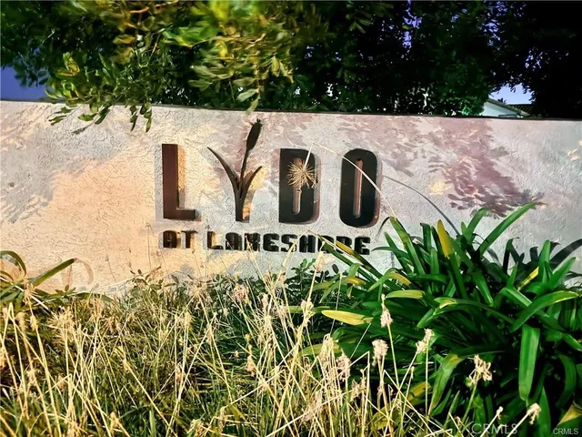 a view of a garden with plants