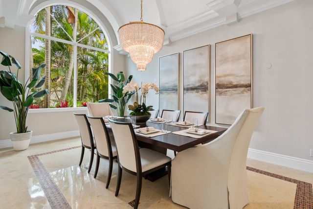 a potted plant sitting in front of a window
