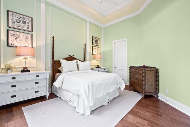 a living room with a couch and a potted plant