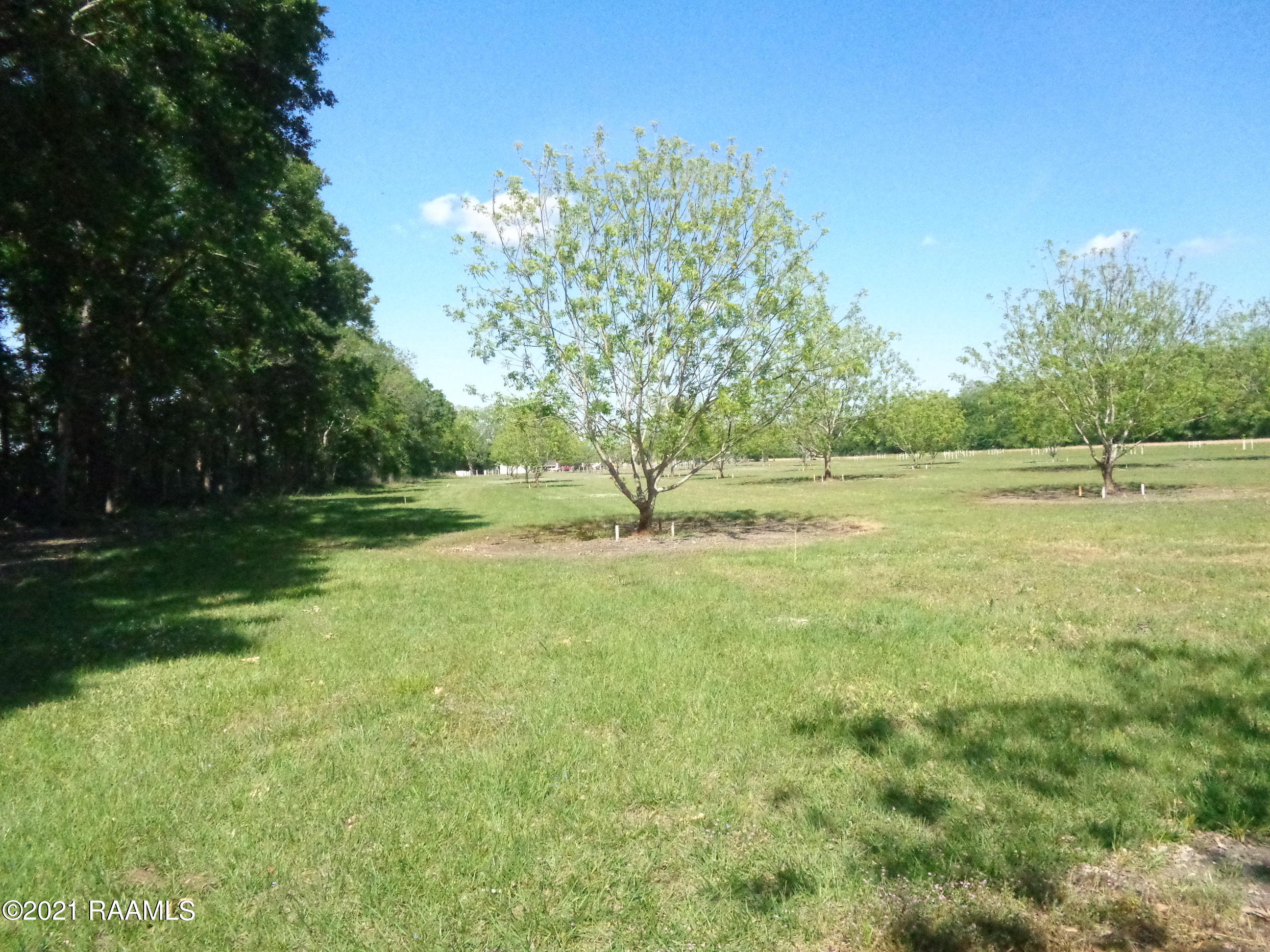 0 Gloria Kern Road Breaux Bridge, LA 70517 - Photo 2 of 25