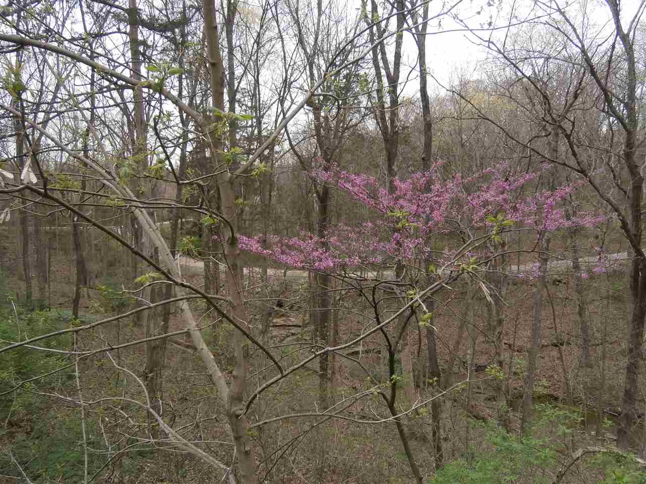 8101 Zikes Road South Bloomington, IN 47401 - Photo 25 of 25 Gallery Image 25
