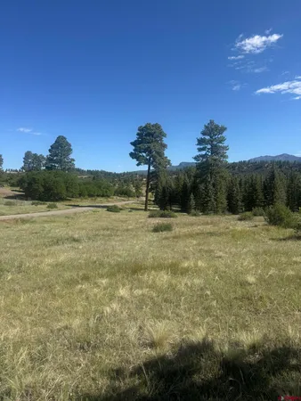a view of a lake with a yard