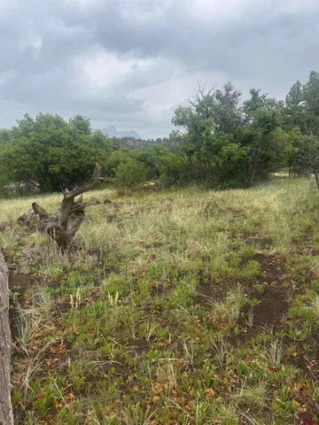 a view of a lake with houses in the back