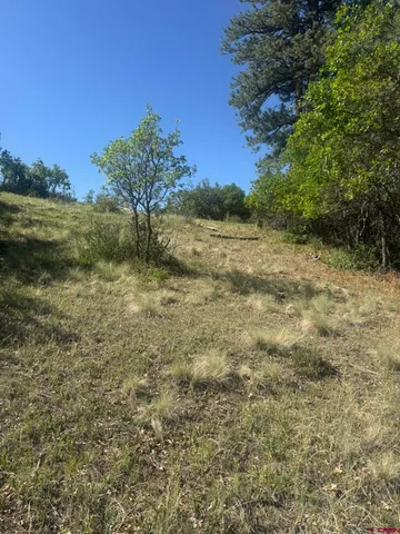 a view of a big yard with lots of green space