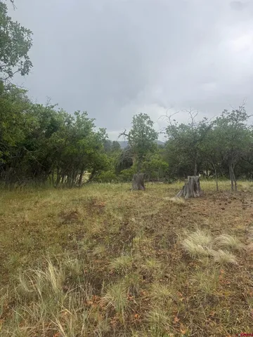 a view of a field with an ocean
