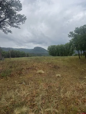 a view of a lake with a yard