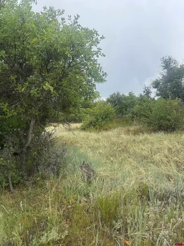 a view of an outdoor space with a lake view