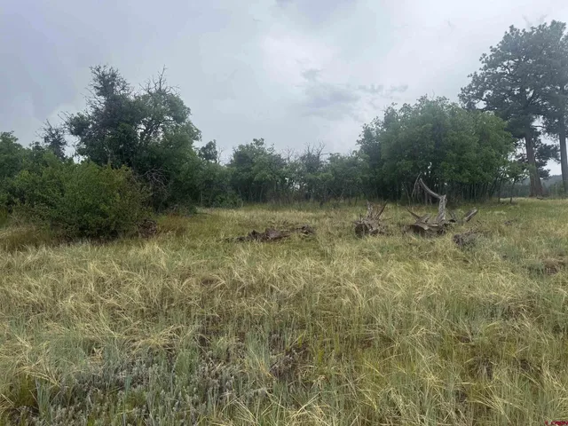 a view of an outdoor space and a yard