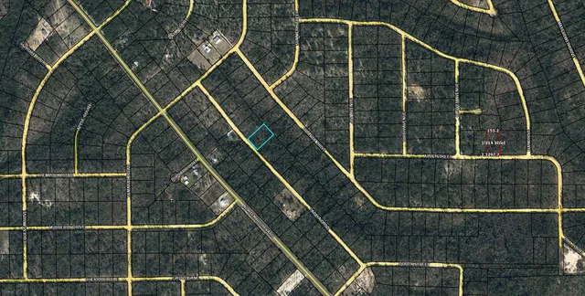 $15,000 | Lot 54 Papaya Street, Marianna, FL 32448