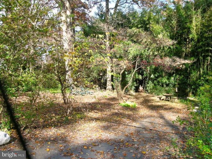 6640 Kerns Road Falls Church, VA 22042 - Photo 15 of 17 Very private yard
