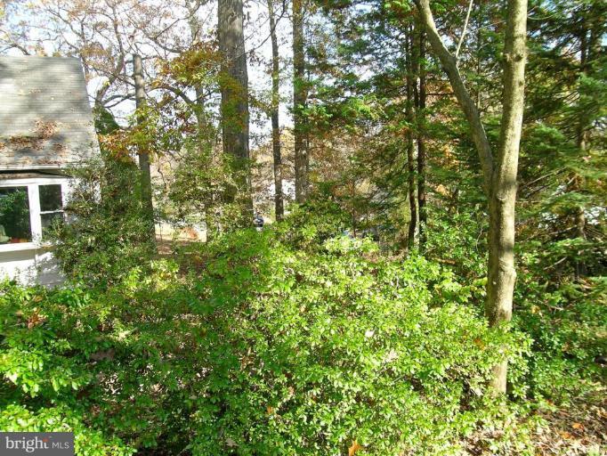 6640 Kerns Road Falls Church, VA 22042 - Photo 16 of 17 Right Side of Yard