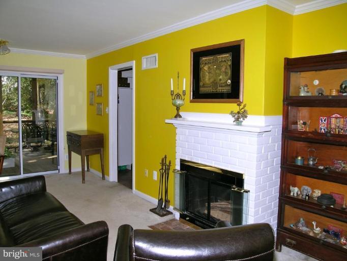 6640 Kerns Road Falls Church, VA 22042 - Photo 3 of 17 Wood burning fireplace