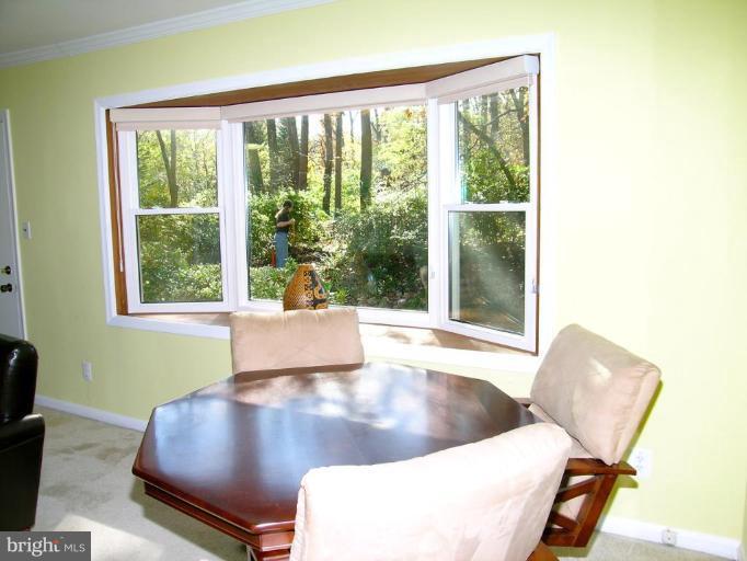 6640 Kerns Road Falls Church, VA 22042 - Photo 4 of 17 Dining area. Note private view!