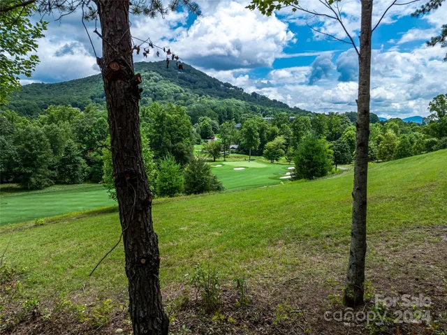 a view of a trees with a tree in the background