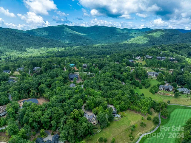 a view of a lush green forest with lots of trees