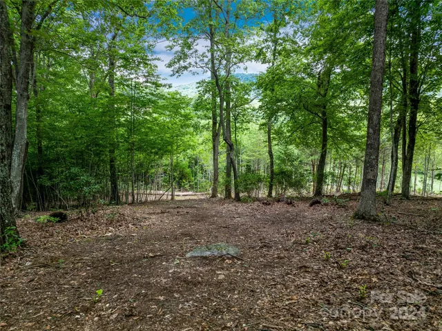 a view of a large yard with lots of green space