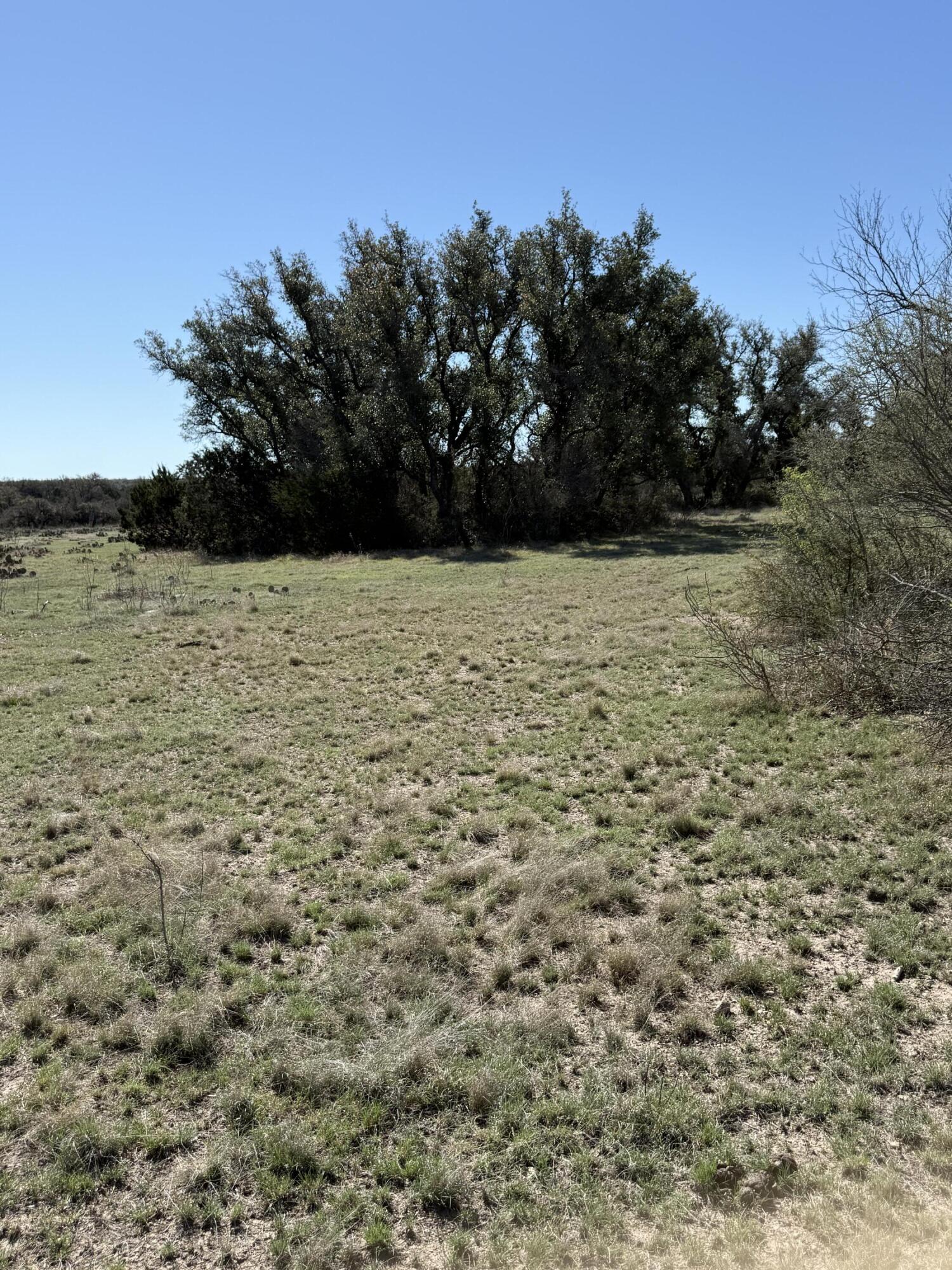 713 Persimmon Road Eldorado, TX 76936 - Photo 3 of 15 IMG_8238