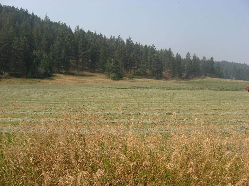 16-xx B West Zimmer Road Addy, WA 99101 - Photo 1 of 3