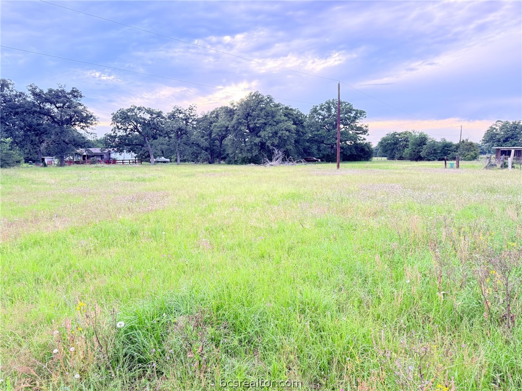 Tbd Wannabe Road Bryan, TX 77808 - Photo 8 of 25 a view of outdoor space and yard