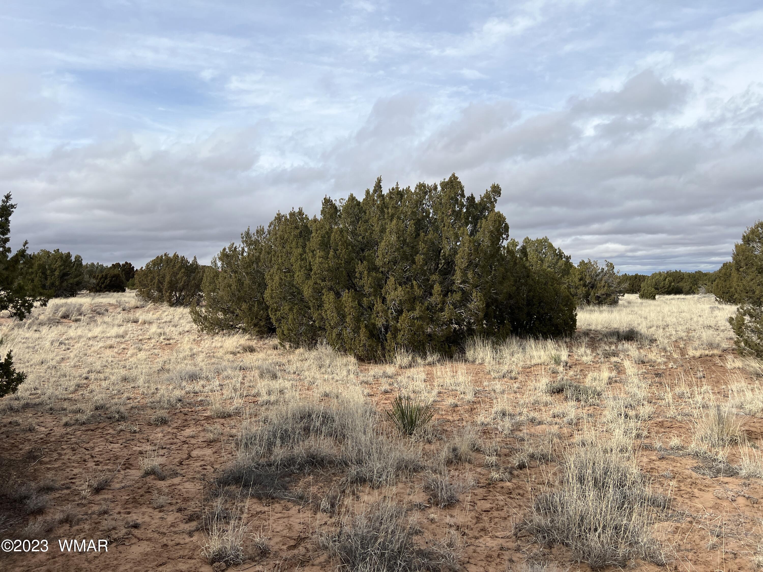 4053 East Pinto Road Snowflake, AZ 85937 - Photo 5 of 11 IMG_8374