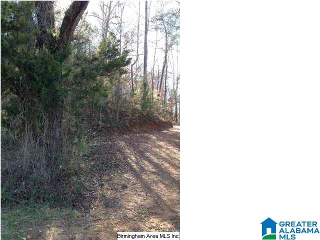 0 Henderson Lake Road, Unit 128 Munford, AL 36268 - Photo 11 of 31