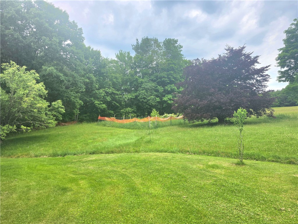 171 Haskins Road Erin, NY 14838 - Photo 3 of 9