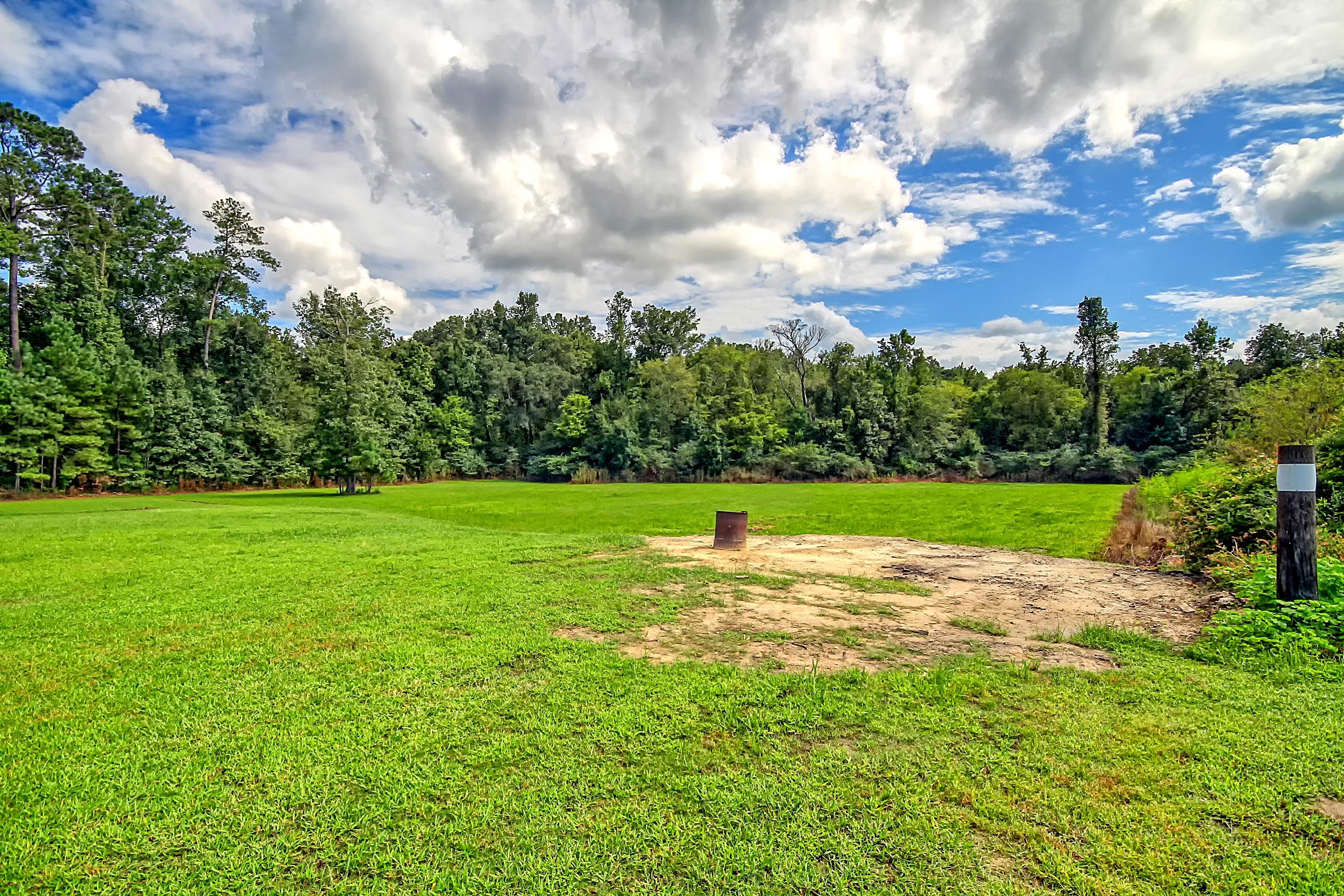 437 Greyback Road Summerville, SC 29483 - Photo 35 of 38 CREM_437 Greyback_035
