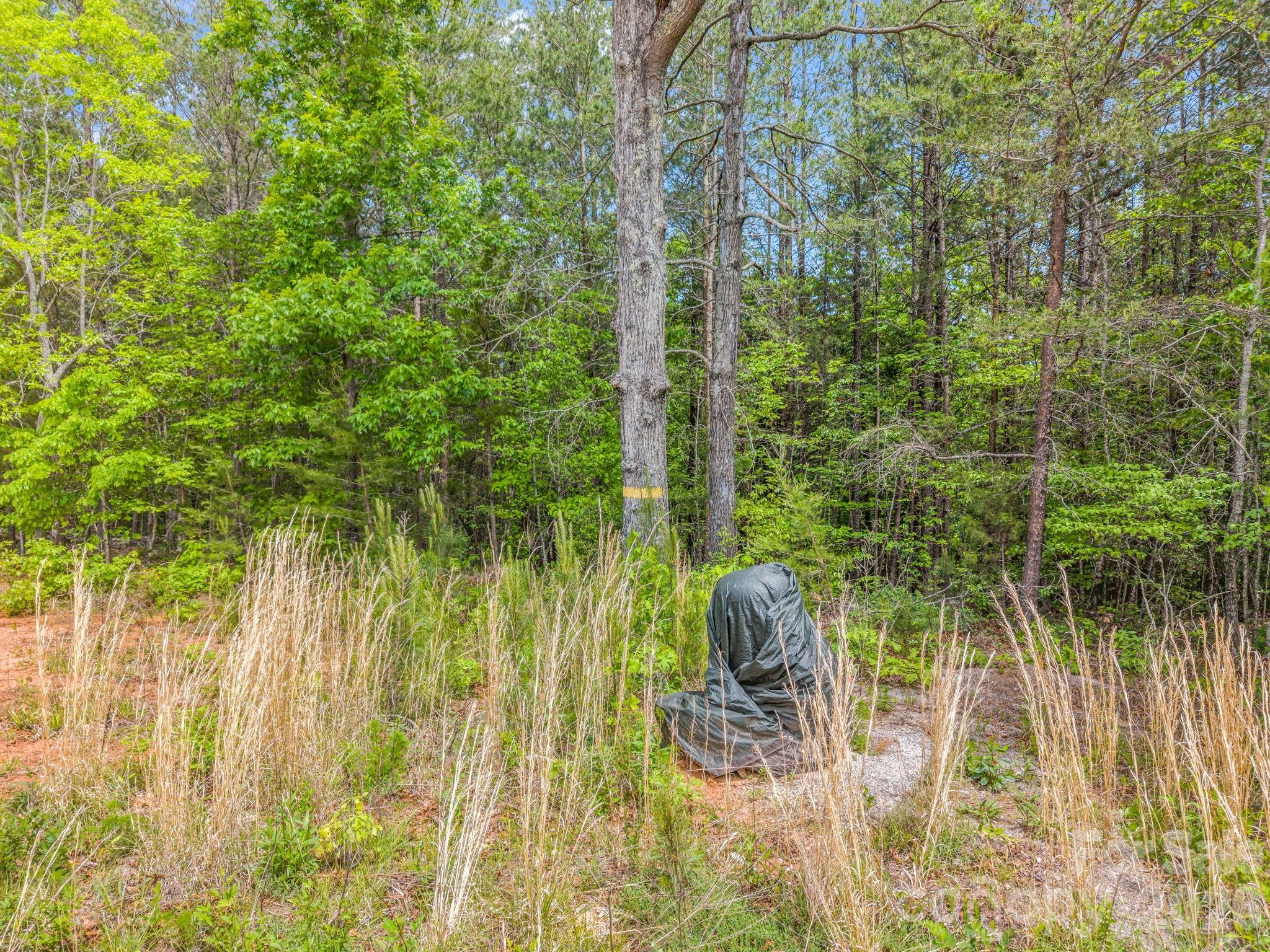 0 Romey Campbell Road Ellenboro, NC 28040 - Photo 7 of 41