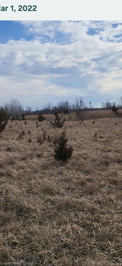0 Yost Road East Canton, MI 48188 - Photo 8 of 10