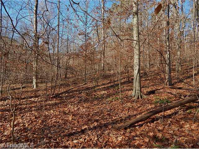 21.275-ac Huffines Mill Road Reidsville, NC 27320 - Photo 1 of 8 Land.