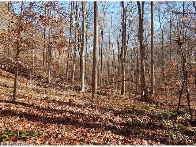 21.275-ac Huffines Mill Road Reidsville, NC 27320 - Photo 2 of 8 Land.