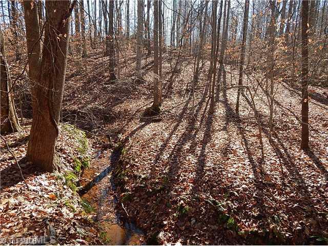 21.275-ac Huffines Mill Road Reidsville, NC 27320 - Photo 3 of 8 Land.