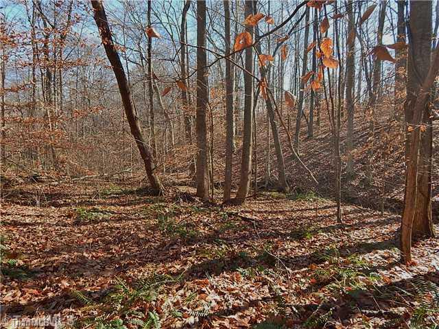 21.275-ac Huffines Mill Road Reidsville, NC 27320 - Photo 5 of 8 Land.
