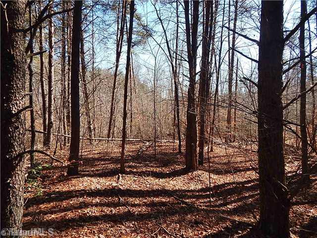 21.275-ac Huffines Mill Road Reidsville, NC 27320 - Photo 6 of 8 Land.